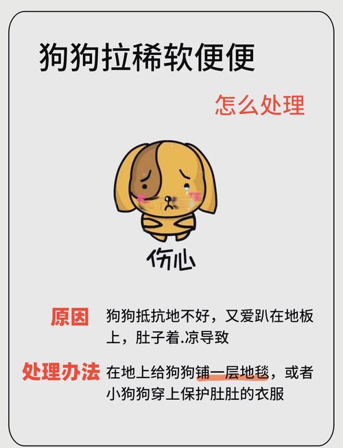 狗狗腹泻常见错误处理方式对比图