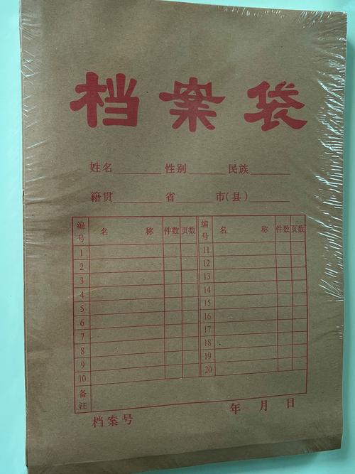 教师办公室铁皮柜牛皮纸学生档案袋