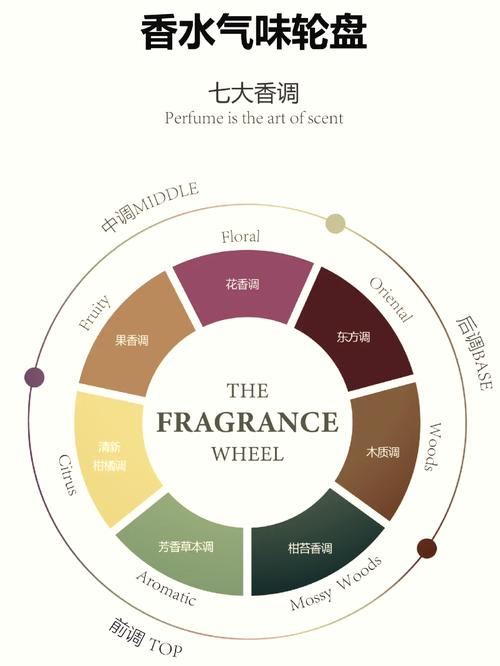 香水香调轮盘图解新手