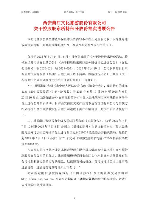 有限责任公司股东出资转账凭证示例