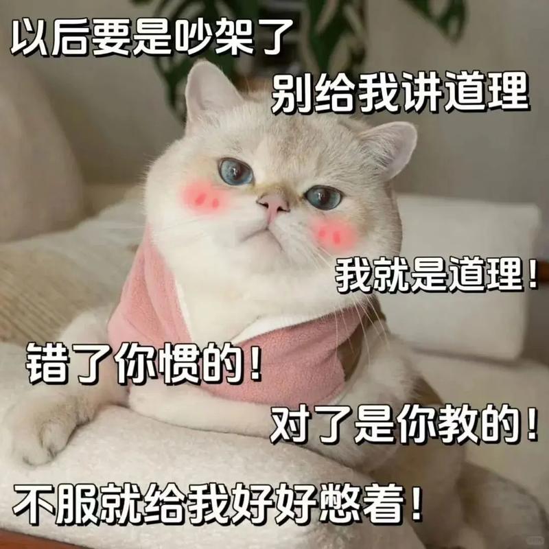今天先念叨到这儿