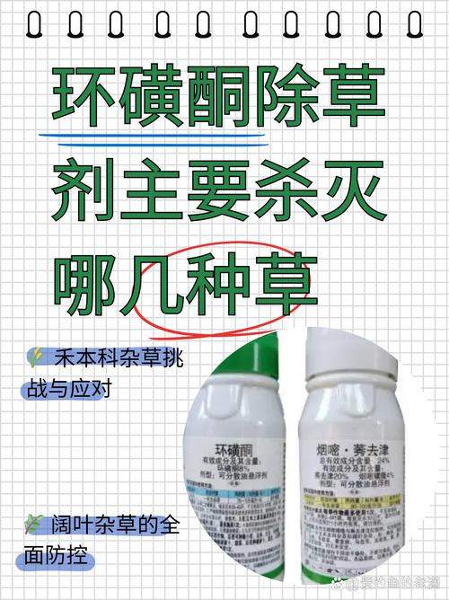 细节:文件名和格式,救命稻草