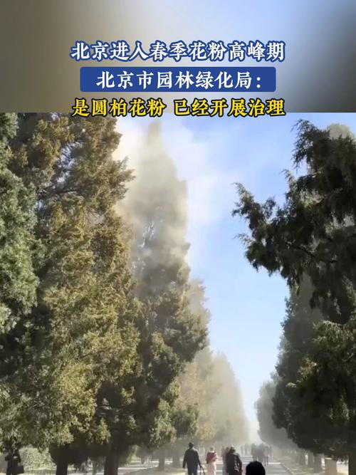 春季城市公园花粉监测点实拍