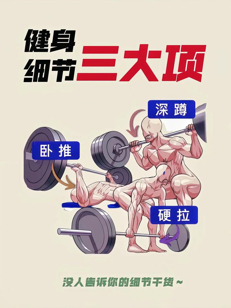 7. 深蹲、硬拉、卧推——三大项是必须的吗？