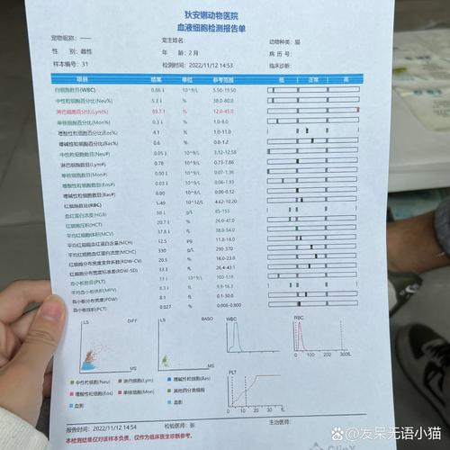 错误宠物生骨肉喂养病例对比图