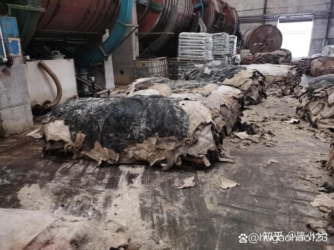 皮革行业的真实现状：从血腥鞣制到生物合成，一场迟到的革命