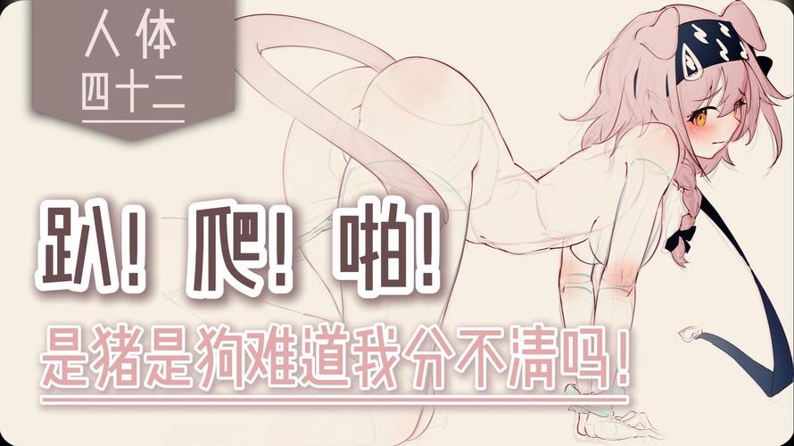 根本没有什么“正确的追番姿势”