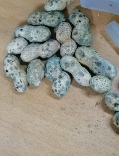 梅雨季受潮长霉的干货食材