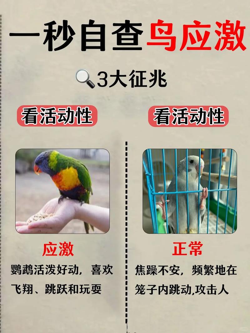 一秒认应激的快速检查清单