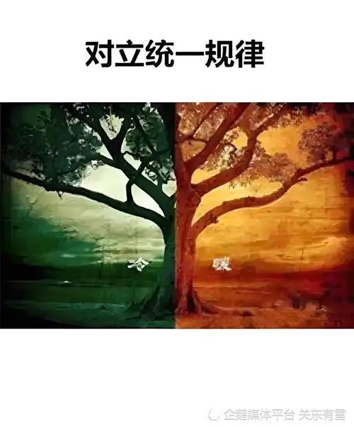 场景对比：两个案子，两种命运