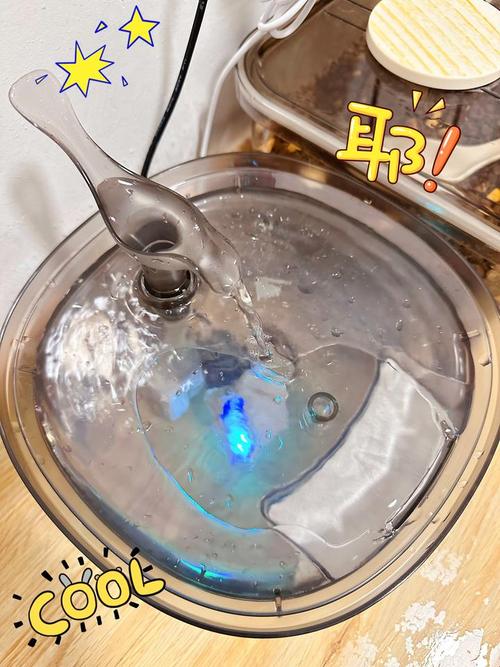 拆开的猫饮水机缝隙里的黏腻生物膜