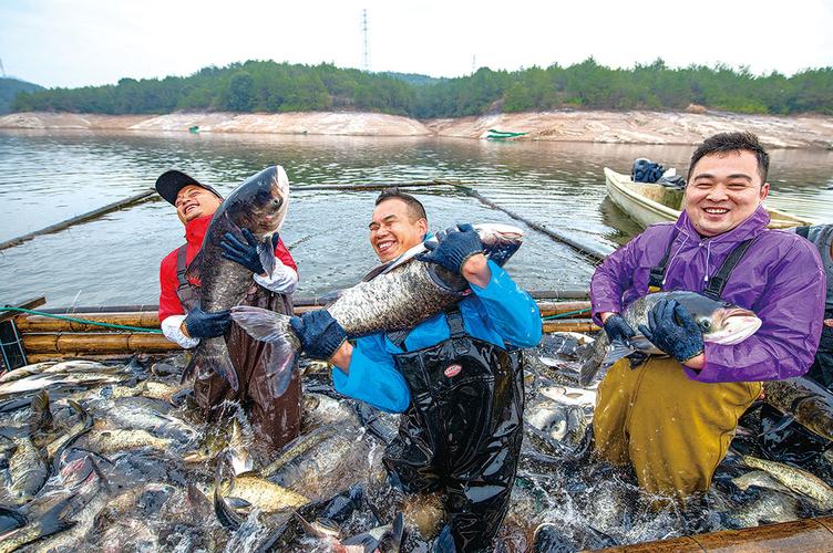 湖北南漳漳河冬季渔民收网捕鱼场景