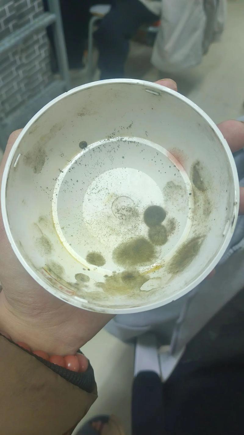 加湿器内部霉菌滋生特写图