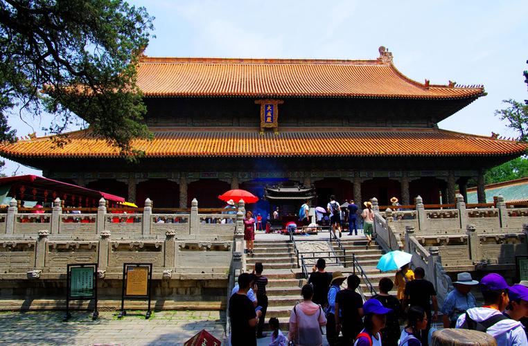 山东曲阜祭孔大典大成殿古柏香烟场景