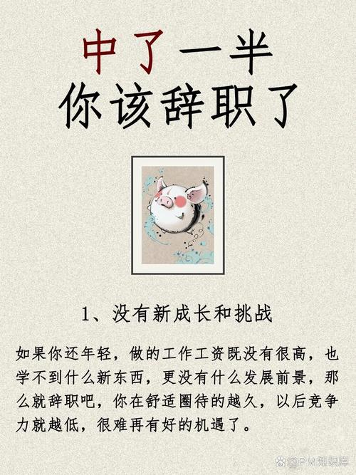 从空中到地面:你的求职为什么总差一口气?