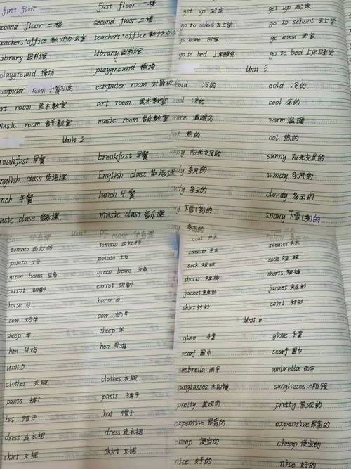 英语学习手写单词本实拍