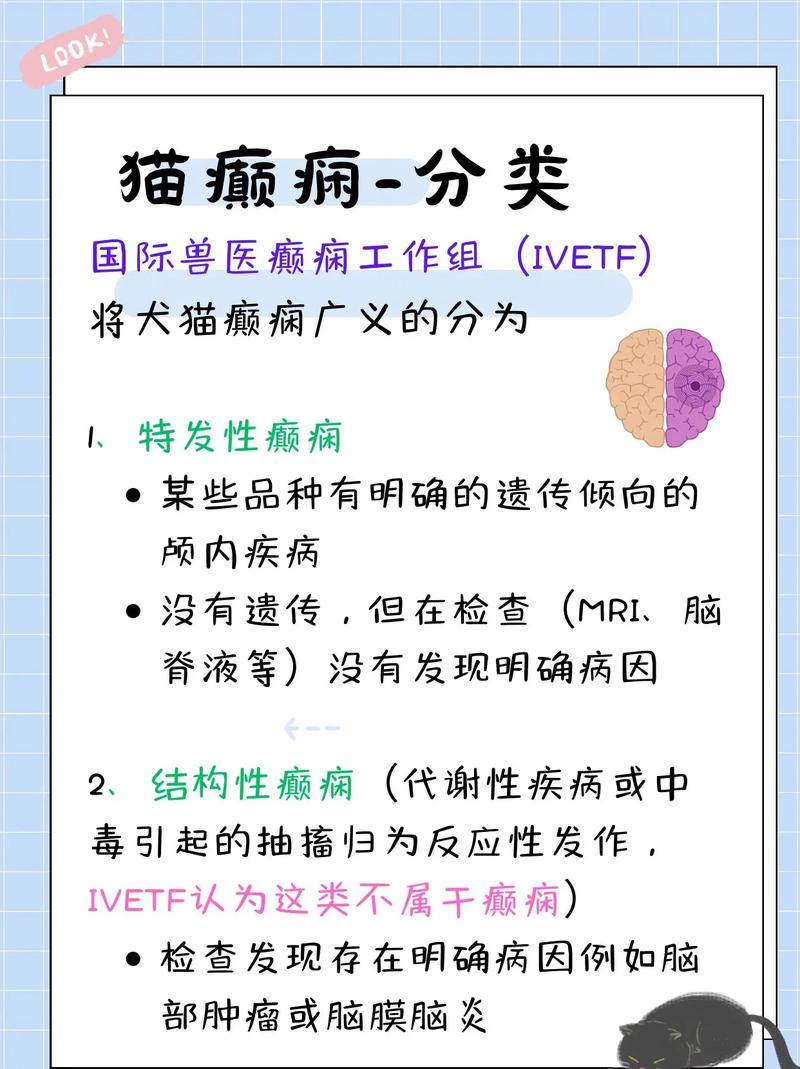 犬猫癫痫发作常见诱发因素对照表