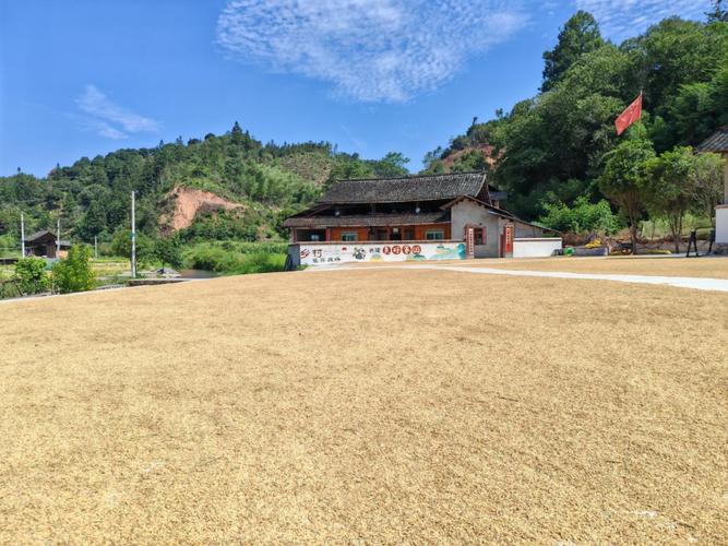 湖北南漳麻城河村秋收晒谷场