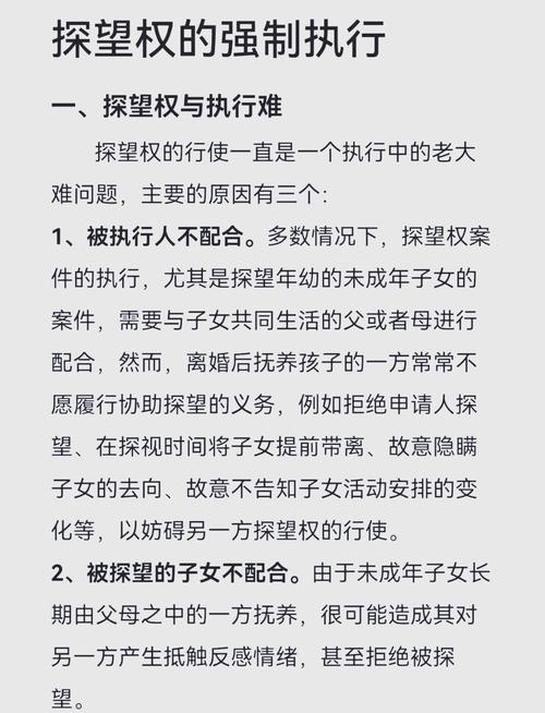 中国探视权纠纷强制执行成功率统计图表