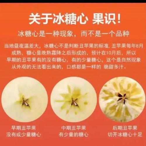 晚上的水果，是糖还是梦魇？