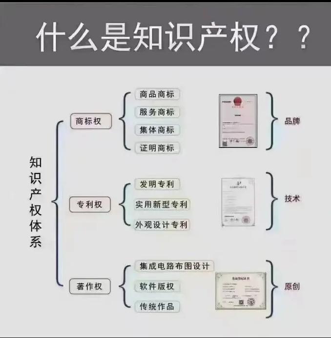 普通人日常涉及知识产权场景分类图