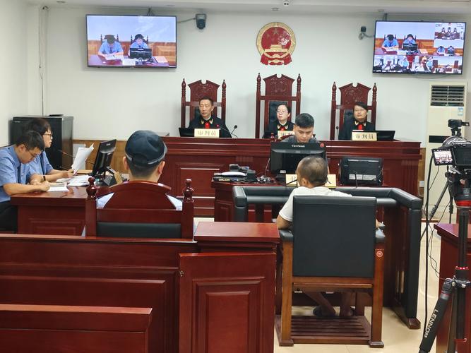 涉吸毒案件法院举证责任分配图