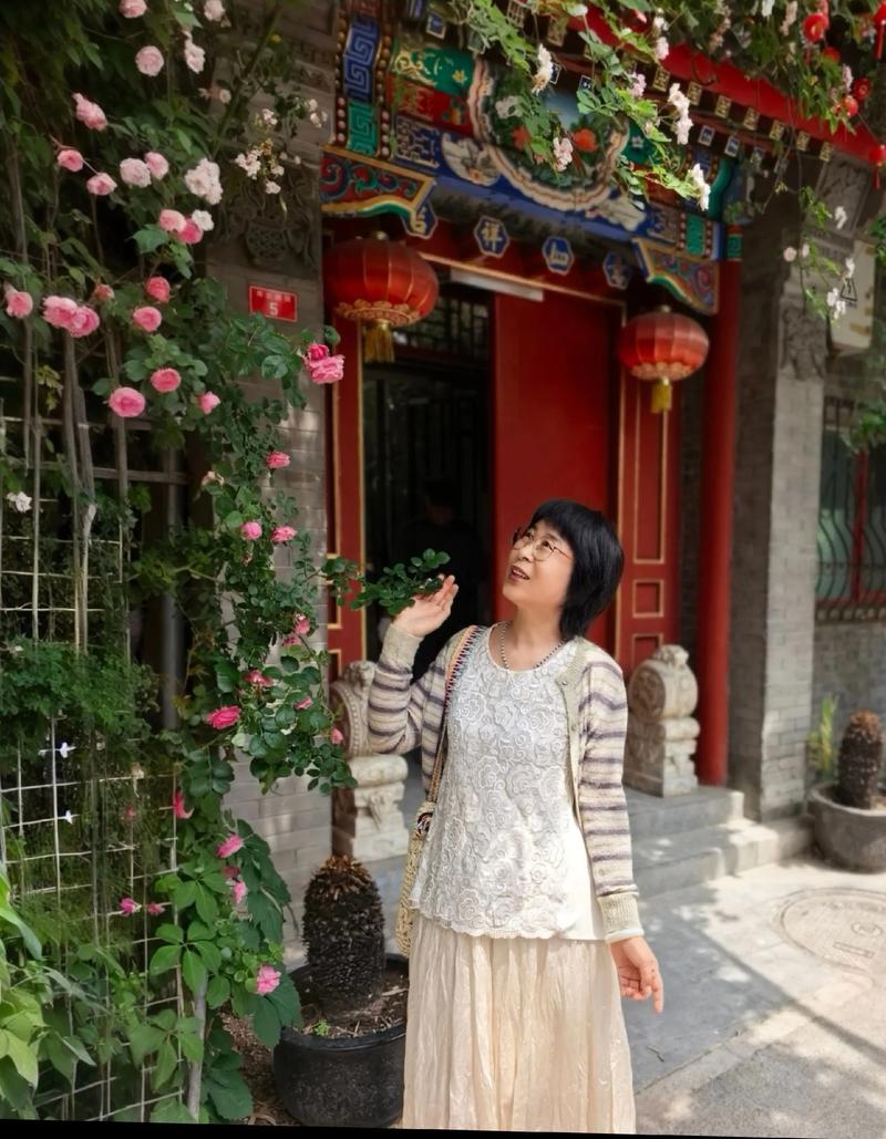 一楼小院半墙红砖墙爬蔷薇实景