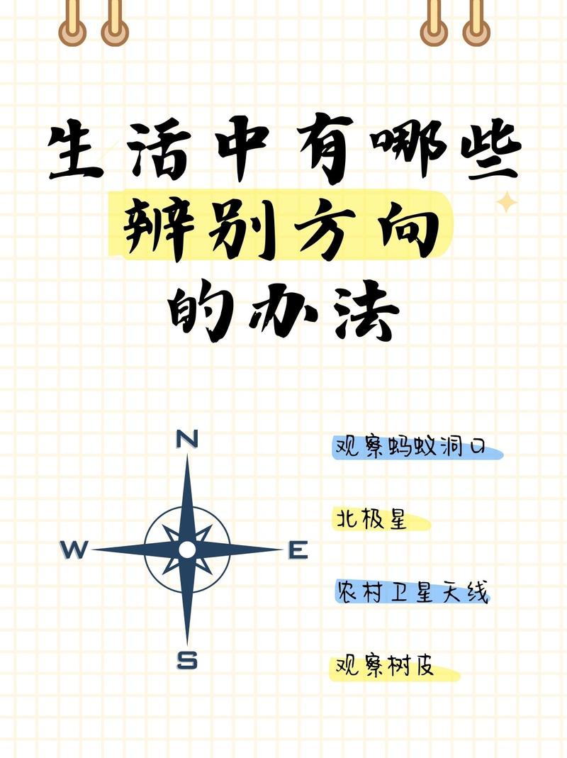 三、出路在哪里？——一些不那么“正确”的观察