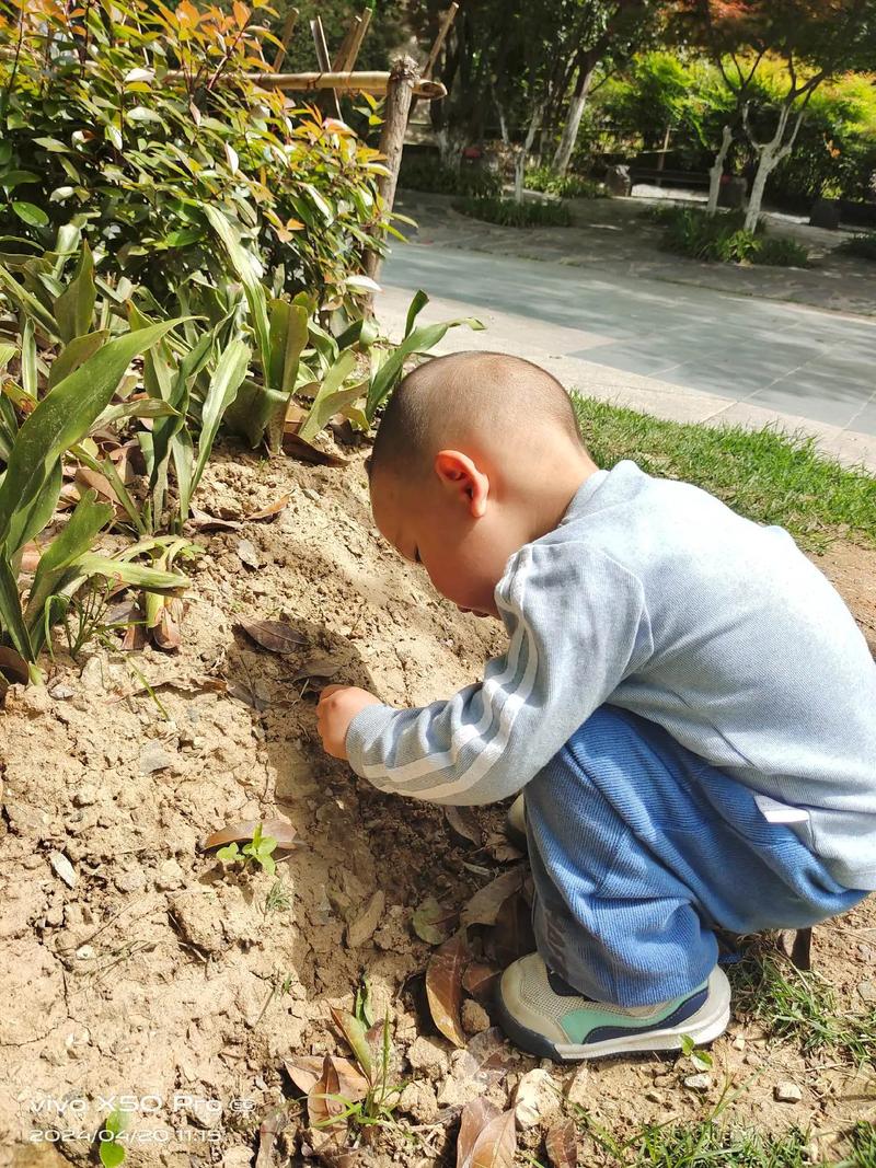 孩子专注观察工厂地面蚂蚁
