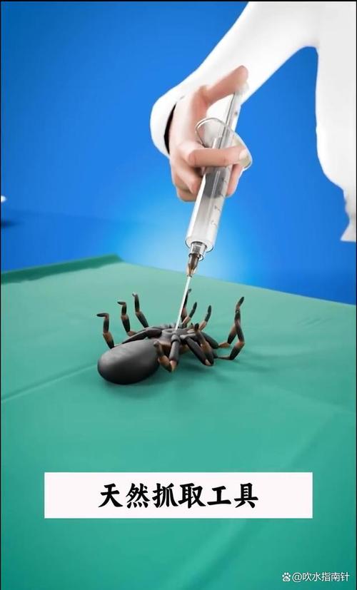 死蜘蛛抓取器实验图片