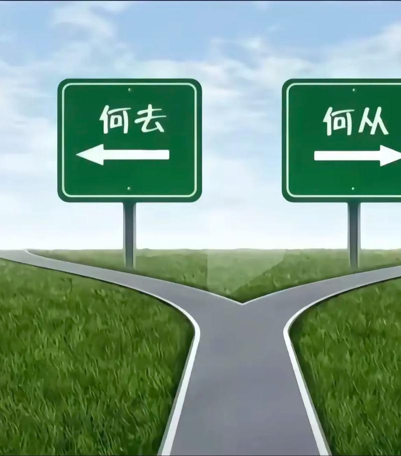 这条路，到底该怎么走？