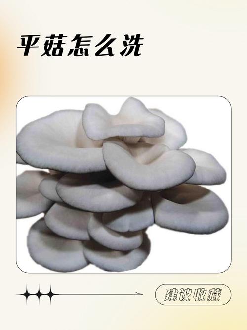 平菇焯水后挤干水分分装冷冻步骤图