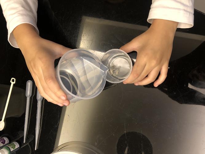 用量杯测量宠物每日饮水量的实操场景