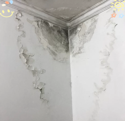老旧小区外墙脱皮渗水实景图