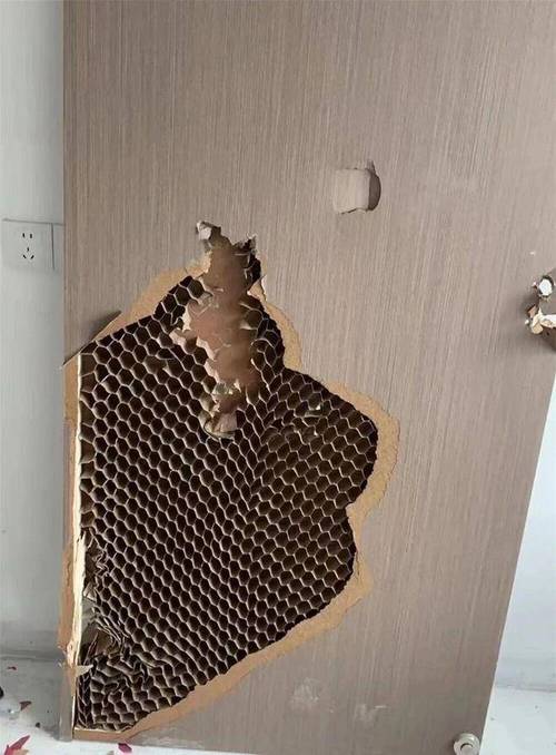复合门内部结构蜂窝纸填充截面图