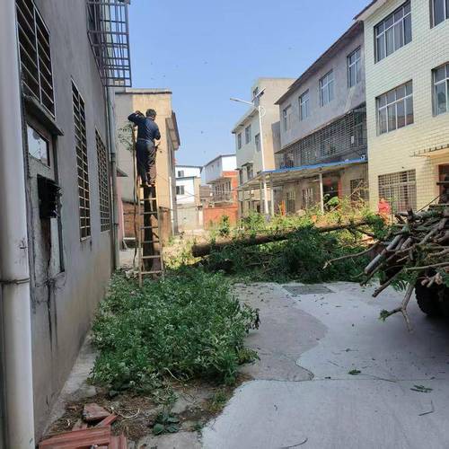 城市小区相邻采光纠纷现场图