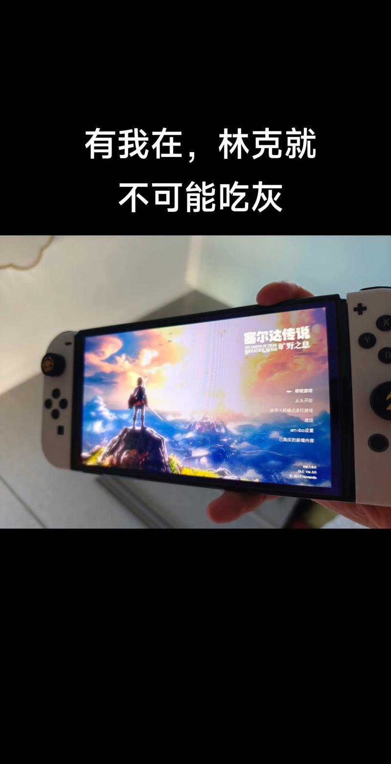 什么样的Switch游戏才不会吃灰?