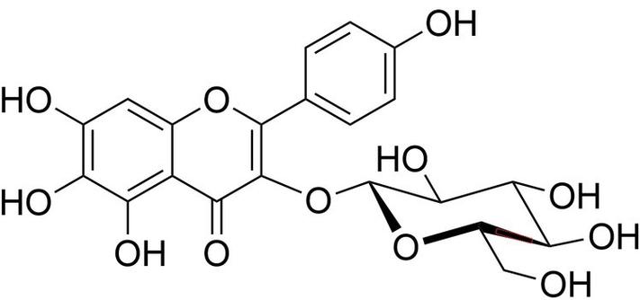 草本成分分解异味分子原理示意图