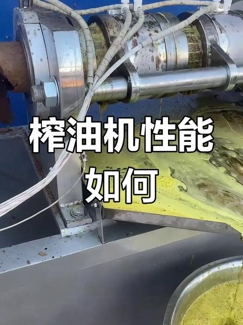 不同结构家用榨油机出油对比实拍