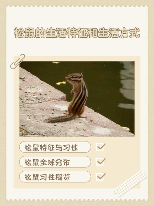 城市松鼠：是进化，还是被逼无奈？