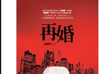 换了马甲的再婚限制，你得认得出来