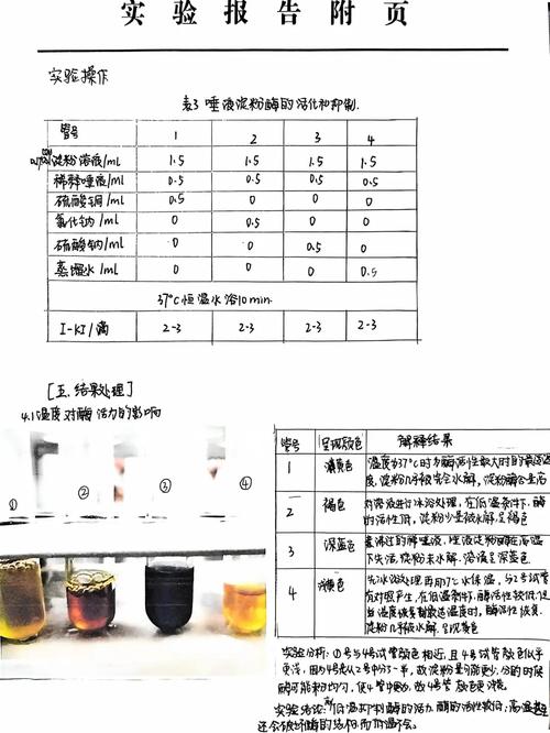 唾液淀粉酶探究实验变量设置对照实验图