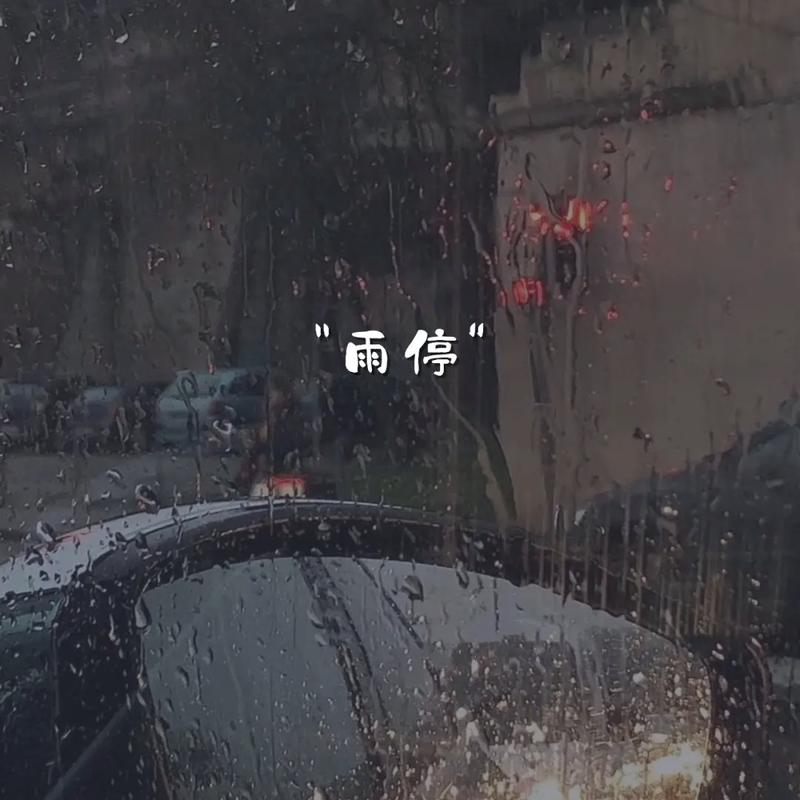 雨好像停了