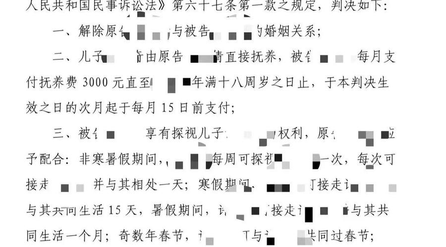 离婚判决书探视权条款实拍图