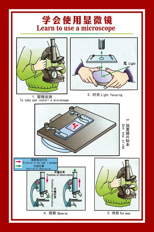 小学光学显微镜操作规范步骤示意图