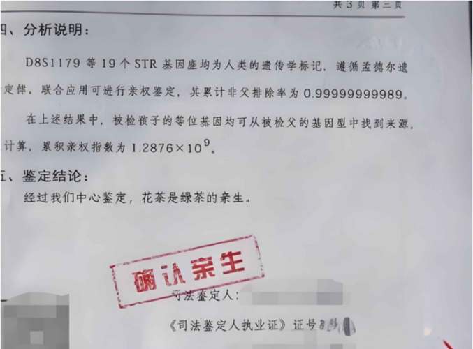 正规个人亲子鉴定报告原件实拍