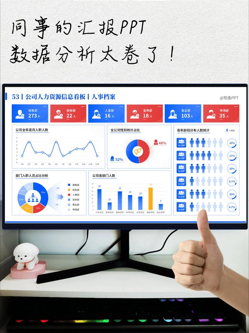 大学生学习人力资源管理专业课程，使用电脑做数据分析