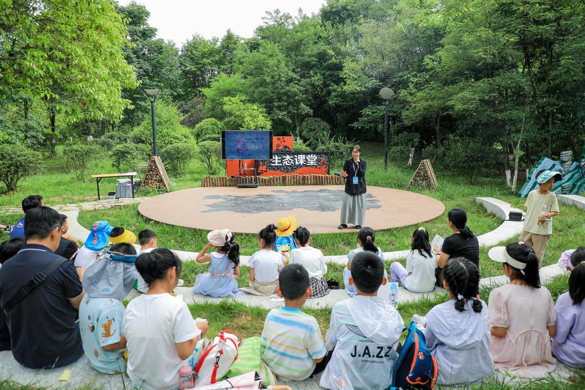 小学课堂生态文明教育户外观察