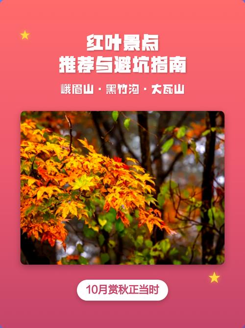 实操避坑指南:别让红叶变“红泪”