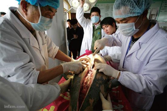 分析阶段:别急着开药方,先解剖尸体